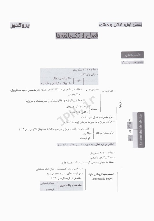 درسنامه پروگنوز علوم پایه پزشکی عفونی2 انگل و قارچ 1404