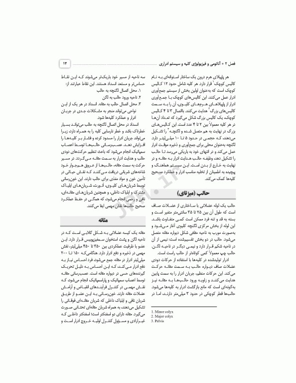 مراقبت‌های جامع پرستاری در بخش مراقبت ویژه کلیوی همودیالیز