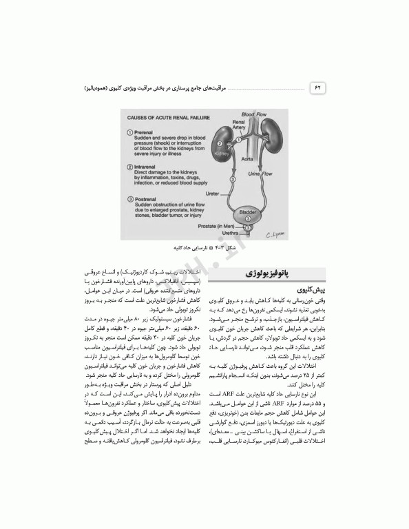 مراقبت‌های جامع پرستاری در بخش مراقبت ویژه کلیوی همودیالیز