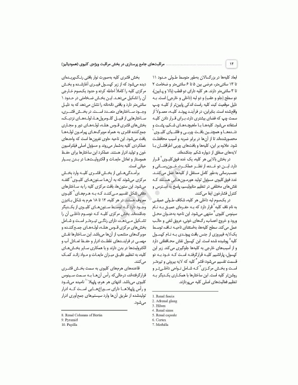 مراقبت‌های جامع پرستاری در بخش مراقبت ویژه کلیوی همودیالیز