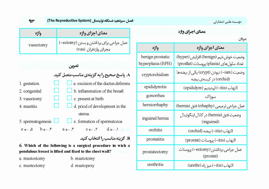 کپسول اندیشه و انقلاب اسلامی زبان انگلیسی
