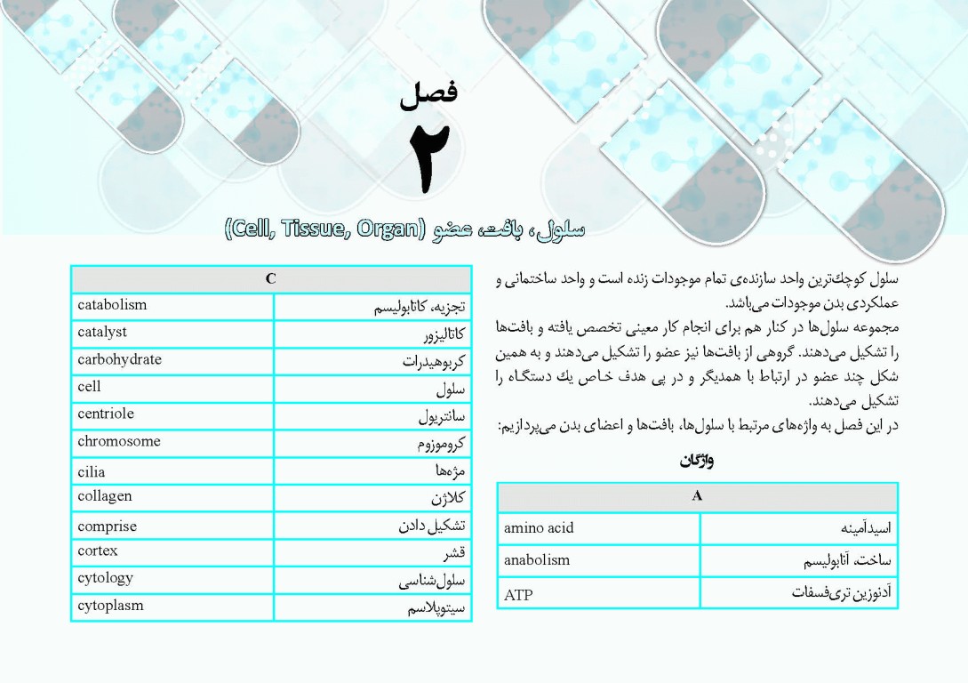 کپسول اندیشه و انقلاب اسلامی زبان انگلیسی