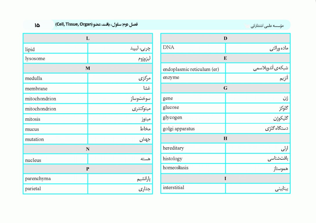 کپسول اندیشه و انقلاب اسلامی زبان انگلیسی