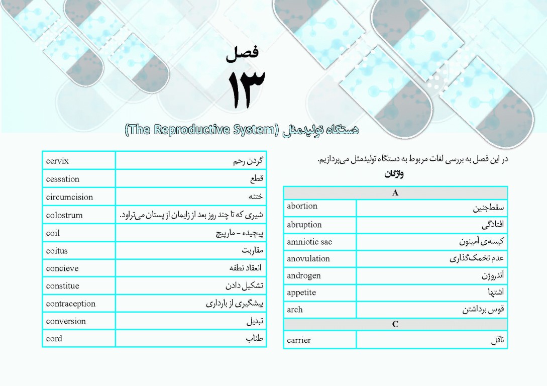 کپسول اندیشه و انقلاب اسلامی زبان انگلیسی