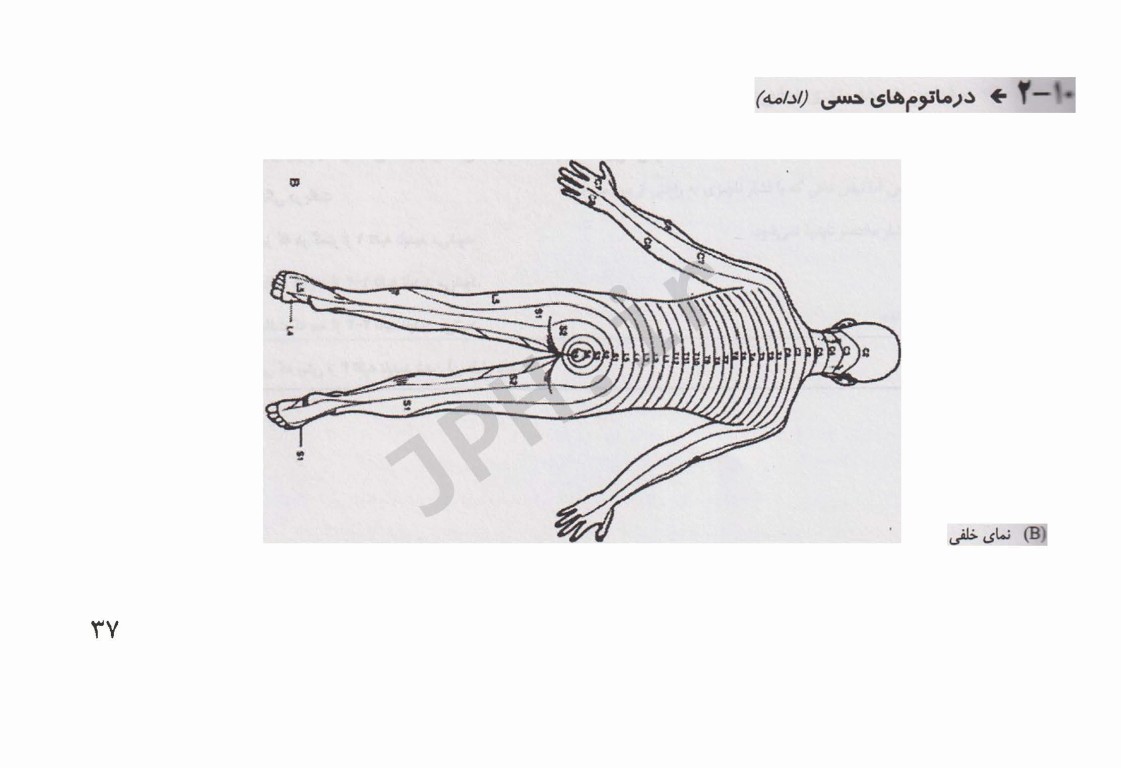 کتابچه جیبی مبانی پرستاری مراقبت‌های ویژه AACN