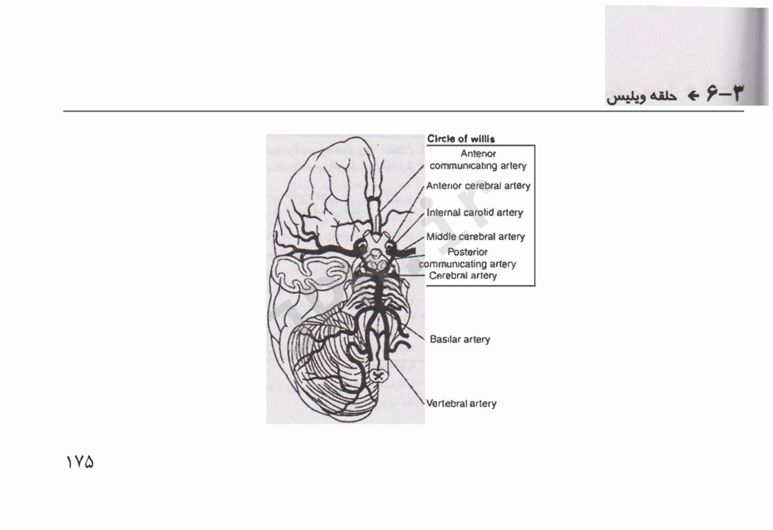 کتابچه جیبی مبانی پرستاری مراقبت‌های ویژه AACN