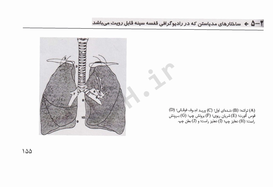 کتابچه جیبی مبانی پرستاری مراقبت‌های ویژه AACN
