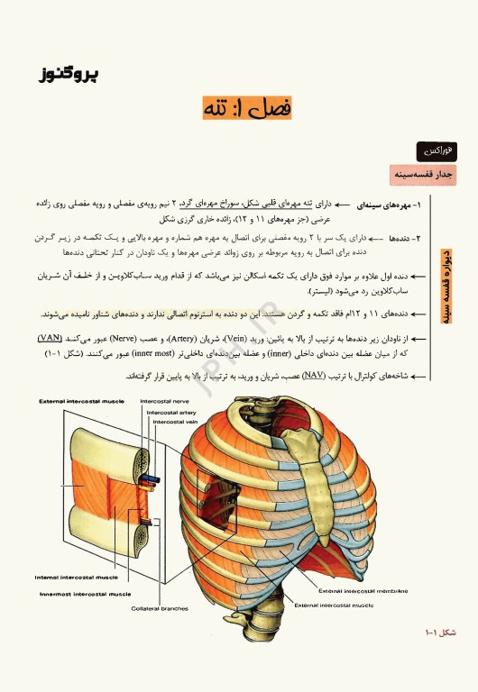 درسنامه پروگنوز علوم پایه پزشکی علوم تشریح 1404