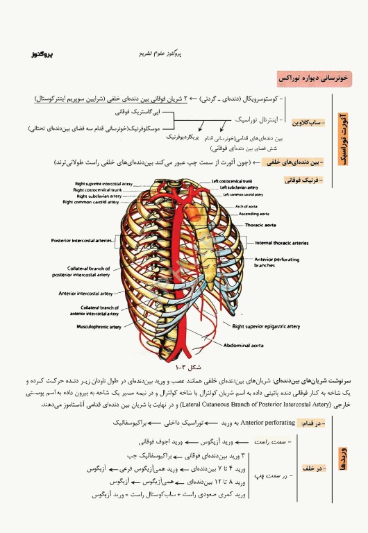 درسنامه پروگنوز علوم پایه پزشکی علوم تشریح 1404