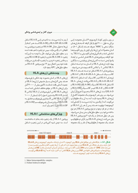 مروری کامل بر ایمنی‌شناسی پزشکی