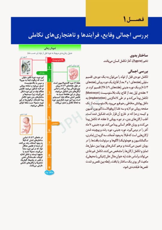 اطلس جنین‌شناسی انسانی نتر 2012