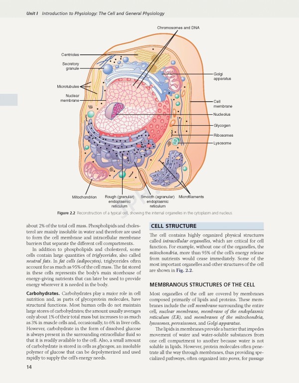 فیزیولوژی گایتون و هال 2026 Guyton and Hall Textbook of Medical Physiology