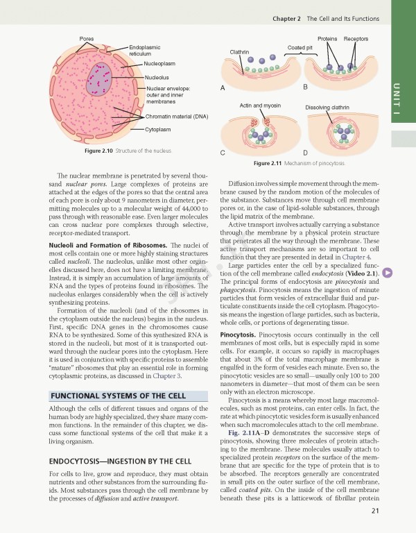 فیزیولوژی گایتون و هال 2026 Guyton and Hall Textbook of Medical Physiology