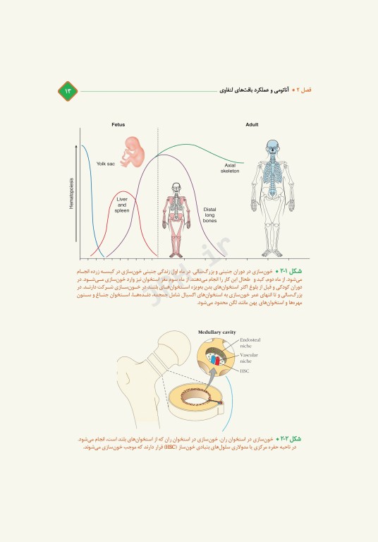 مروری کامل بر ایمنی‌شناسی پزشکی