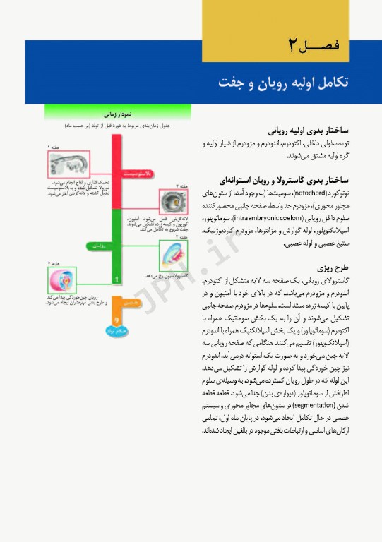 اطلس جنین‌شناسی انسانی نتر 2012
