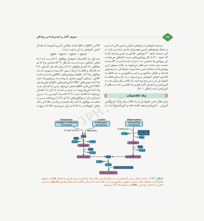 مروری کامل بر ایمنی‌شناسی پزشکی