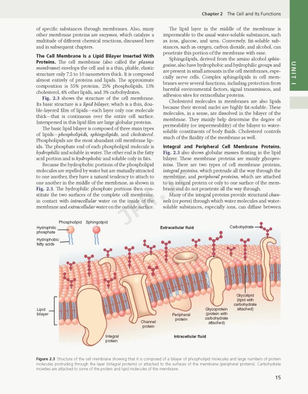 فیزیولوژی گایتون و هال 2026 Guyton and Hall Textbook of Medical Physiology