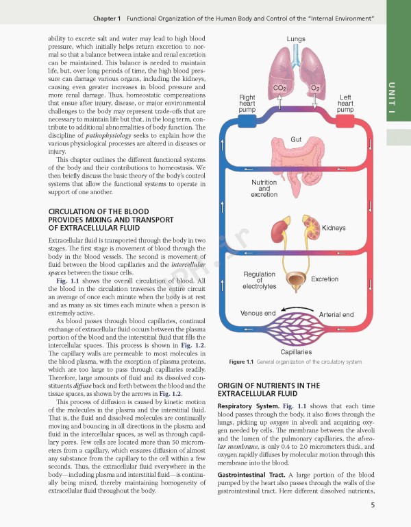 فیزیولوژی گایتون و هال 2026 Guyton and Hall Textbook of Medical Physiology