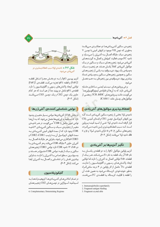 مروری کامل بر ایمنی‌شناسی پزشکی