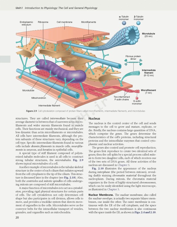 فیزیولوژی گایتون و هال 2026 Guyton and Hall Textbook of Medical Physiology
