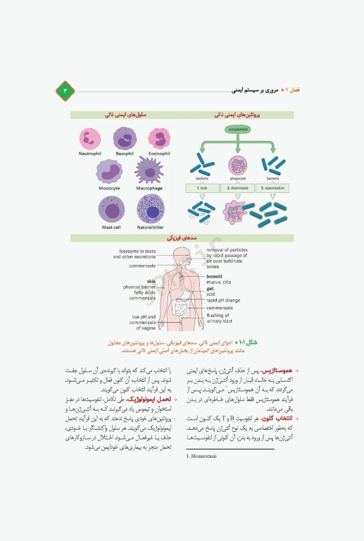 مروری کامل بر ایمنی‌شناسی پزشکی