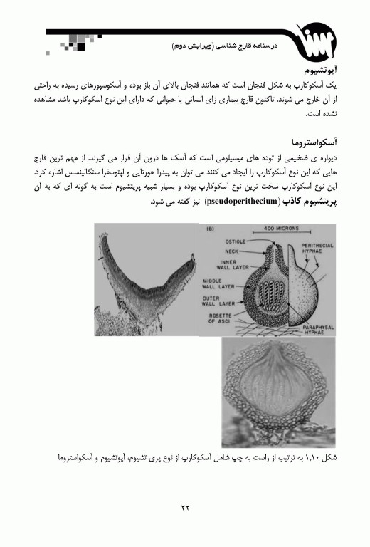 قارچ‌شناسی ویژه آزمون‌های وزارت بهداشت