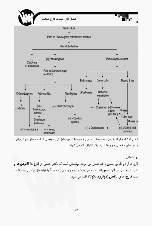 قارچ‌شناسی ویژه آزمون‌های وزارت بهداشت