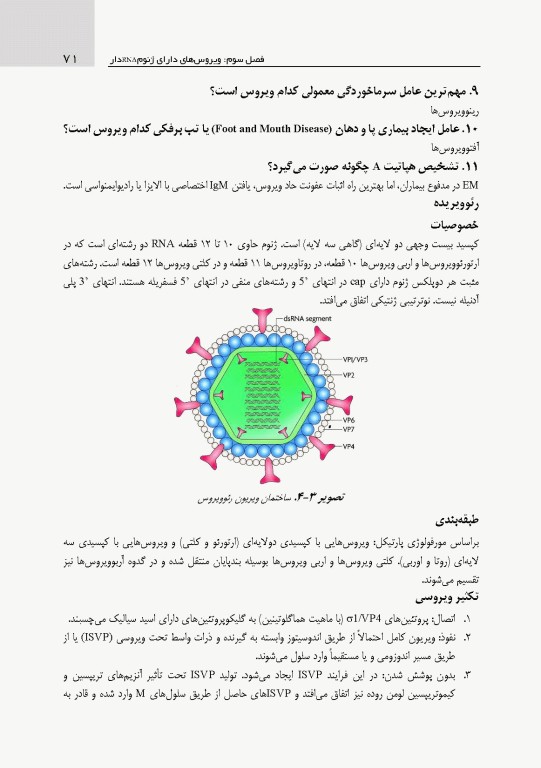 دستنامه ویروس‌شناسی پزشکی بر اساس سرفصل شورای عالی برنامه‌ریزی علوم پزشکی