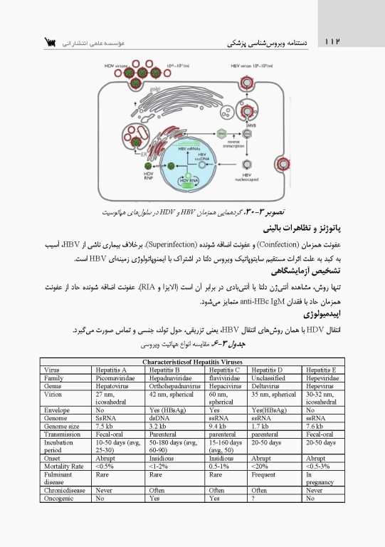 دستنامه ویروس‌شناسی پزشکی بر اساس سرفصل شورای عالی برنامه‌ریزی علوم پزشکی