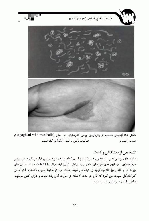 قارچ‌شناسی ویژه آزمون‌های وزارت بهداشت