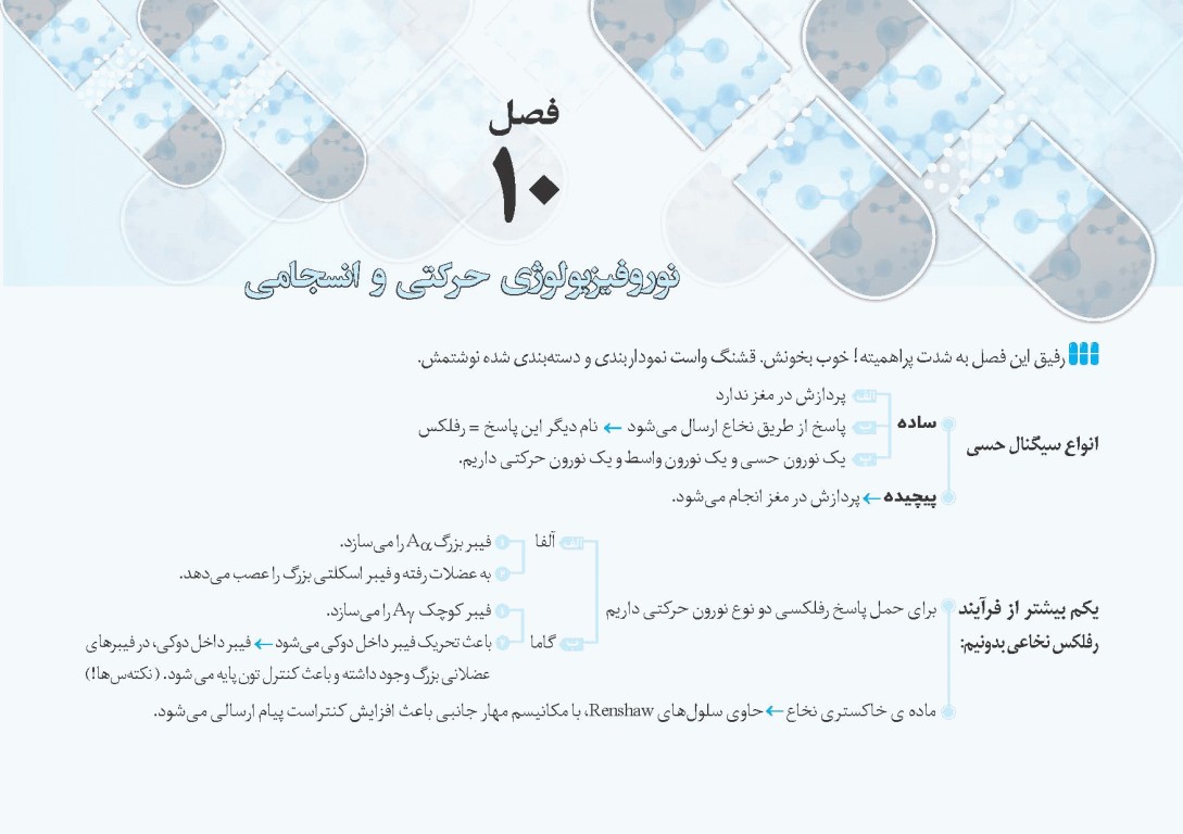 کپسول فیزیولوژی پزشکی