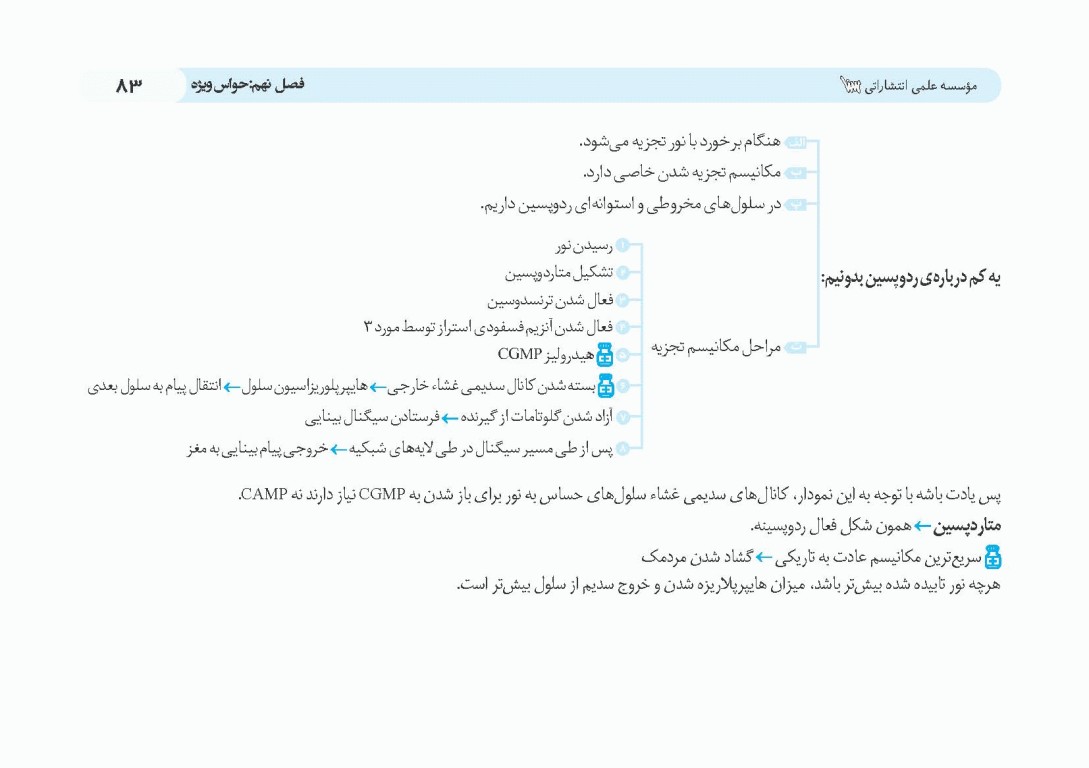 کپسول فیزیولوژی پزشکی