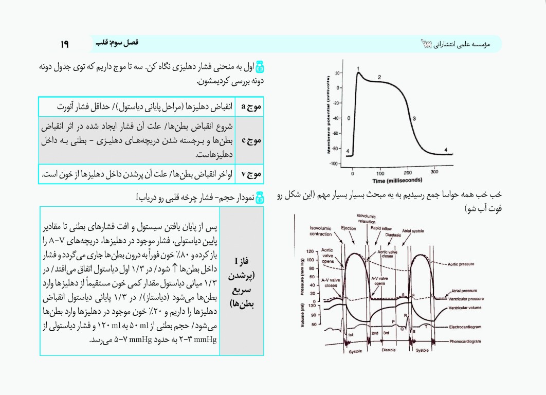 کپسول فیزیولوژی پزشکی