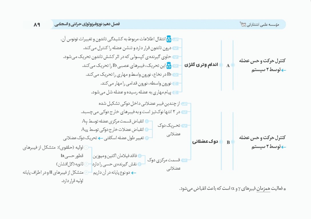 کپسول فیزیولوژی پزشکی