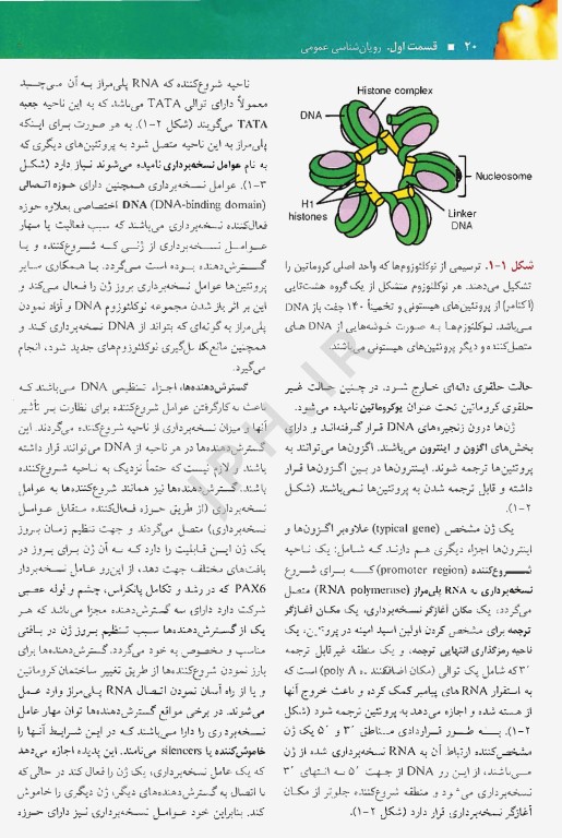 رویان شناسی پزشکی لانگمن 2015