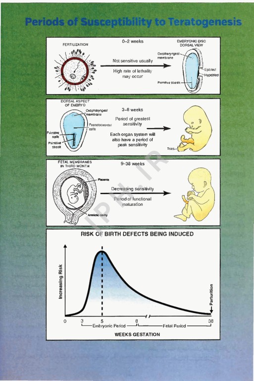 رویان شناسی پزشکی لانگمن 2015