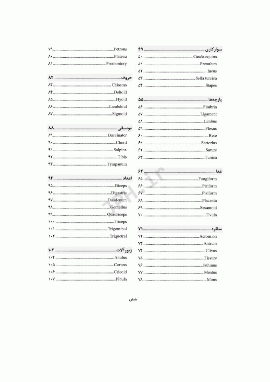 راز زبان آناتومی