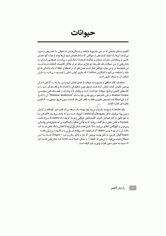 راز زبان آناتومی