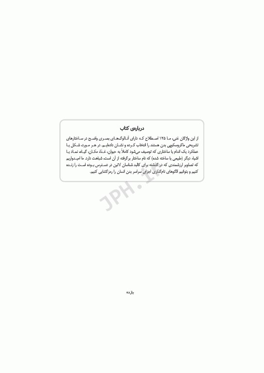 راز زبان آناتومی