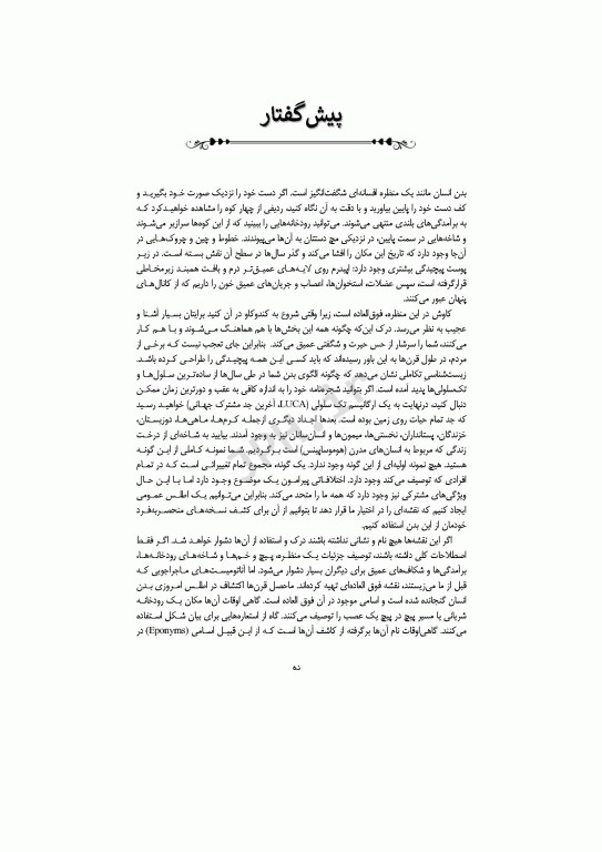 راز زبان آناتومی