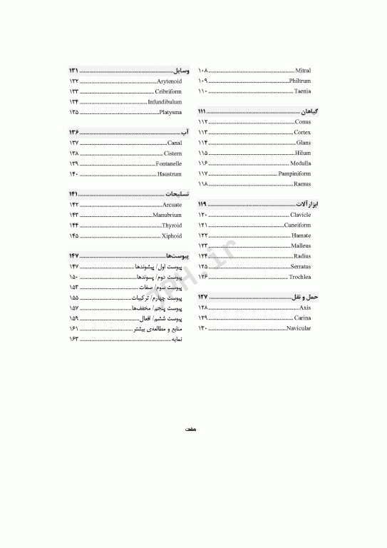 راز زبان آناتومی