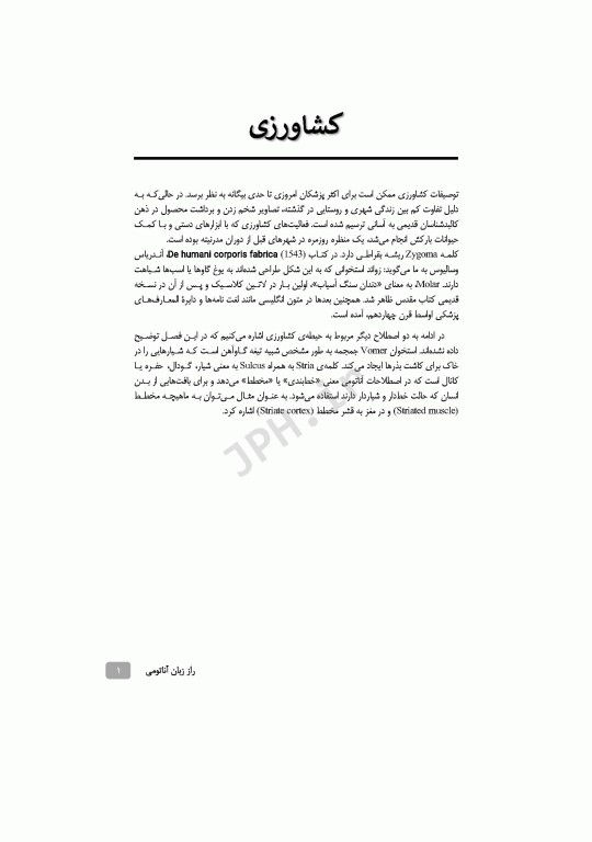 راز زبان آناتومی