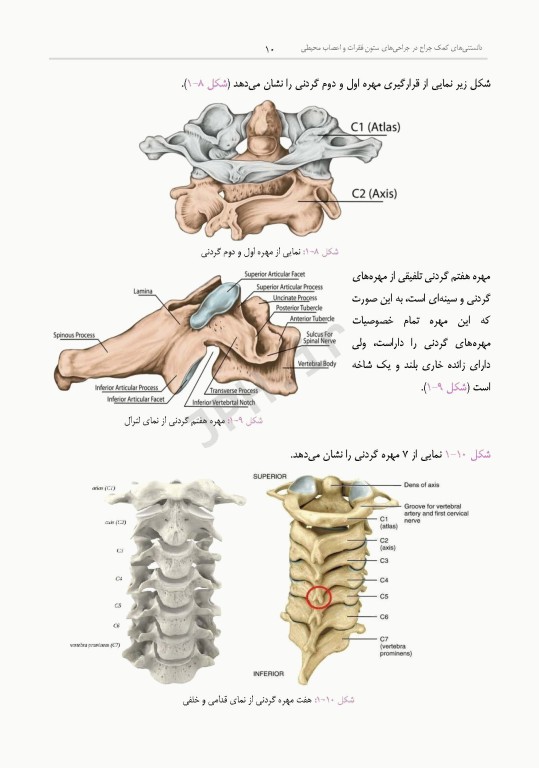 دانستنی‌های کمک جراح در جراحی‌های ستون فقرات و اعصاب محیطی
