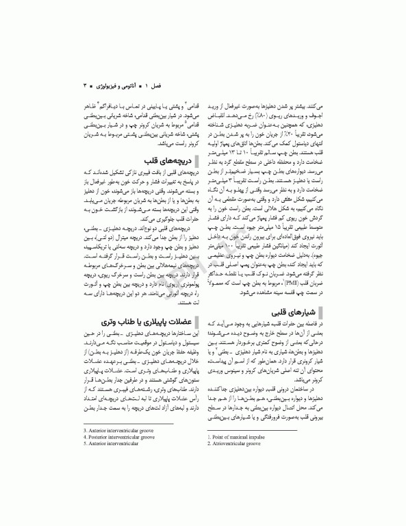 مراقبت‌های پرستاری و تغذیه‌ای در مداخلات تهاجمی قلب و عروق