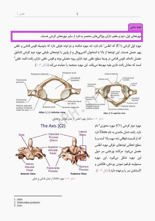 دانستنی‌های کمک جراح در جراحی‌های ستون فقرات و اعصاب محیطی
