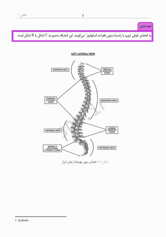 دانستنی‌های کمک جراح در جراحی‌های ستون فقرات و اعصاب محیطی