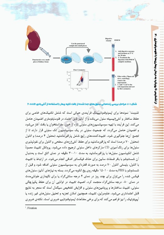از تشخیص تا رویکرد به درمان بیماری‌ها با فلوسایتومتری