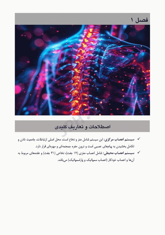 دانستنی‌های کمک جراح در جراحی‌های ستون فقرات و اعصاب محیطی