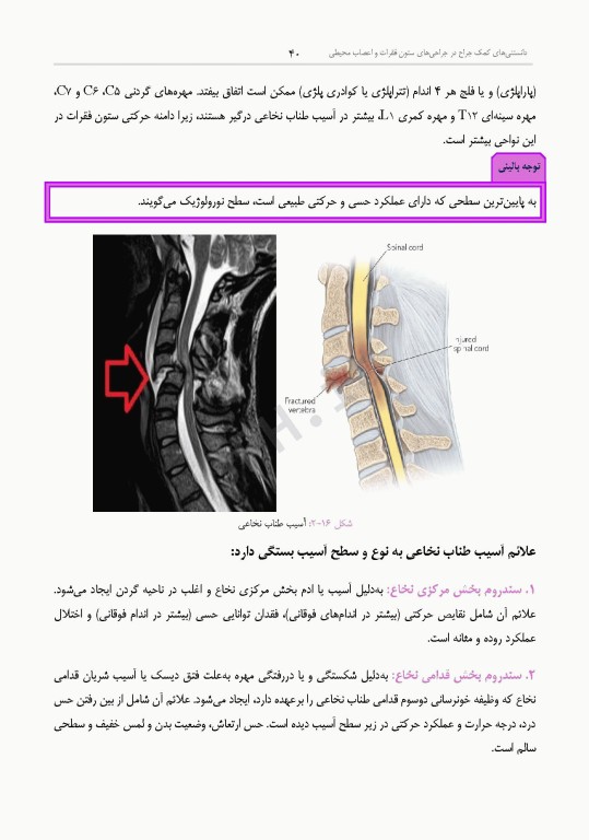 دانستنی‌های کمک جراح در جراحی‌های ستون فقرات و اعصاب محیطی