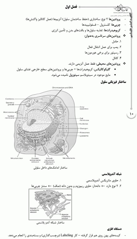 درسنامه AGK فیزیولوژی انسانی